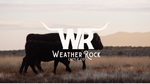 Weather Rock Cattle Co. Gift Card